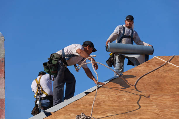 Best Storm Damage Roof Repair  in Slocom, AL